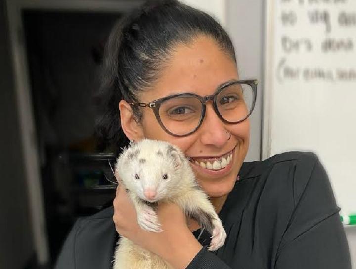 East Hartford Veterinary Services East Hartford Vet Hospital